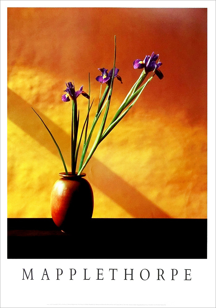 ロバート・メイプルソープ ポスター Irises(1982) A5004 