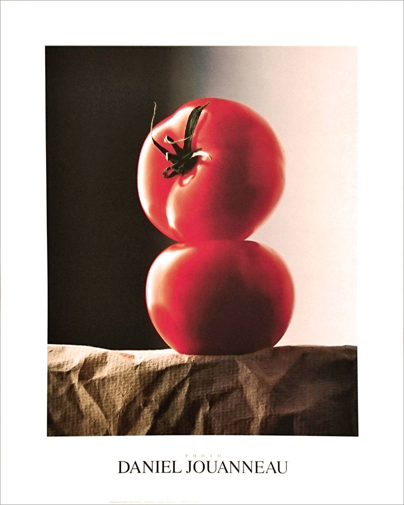 ヌーヴェルイマージュ社 DANIEL JOUANNEAU/TOMATOS KE-108