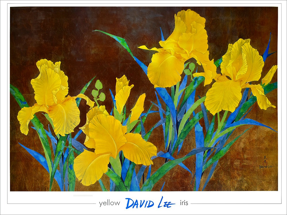 ポスター  デビット・リー yellow iris 