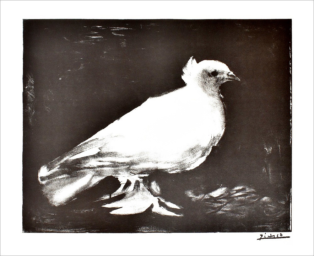パブロ・ピカソ ポスター 鳩(1949)|アート＆フレーム|絵と額縁の専門店