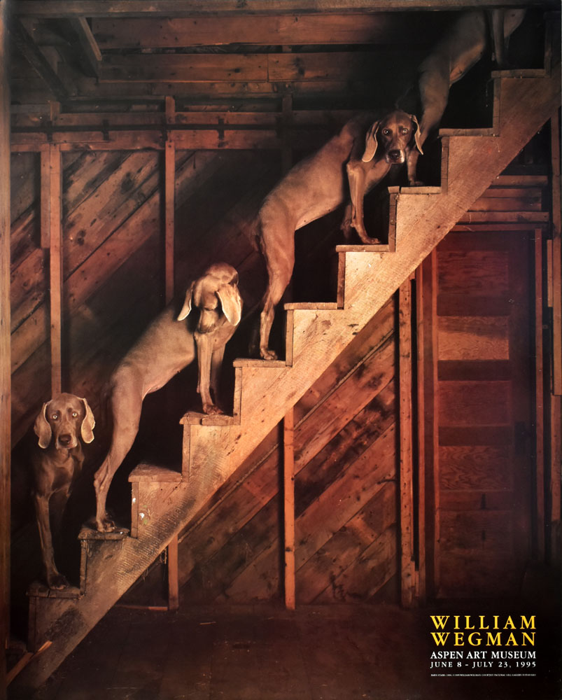 ウィリアム・ウェグマン ポスター BARN STAIRS(1994) 