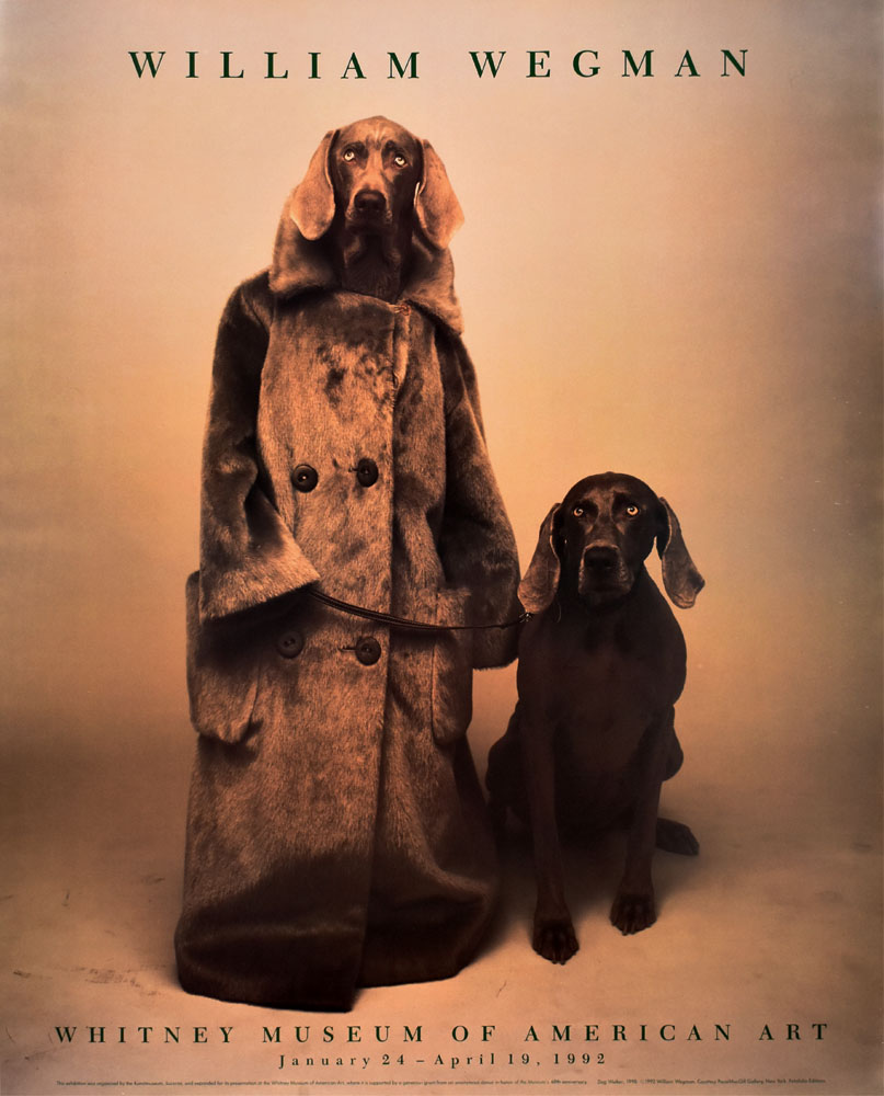 ウィリアム・ウェグマン ポスター Dog Walker(1990) 