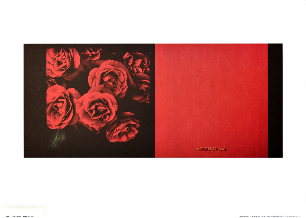 マリエ・ジョー・ラフォンテーヌ ポスター A Fleur du Mal(1999) 848948