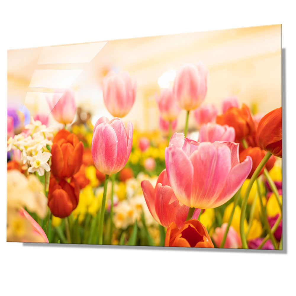 WITH FOTO アクリルフォト A2 チューリップの花畑/Beautiful flower tulips
