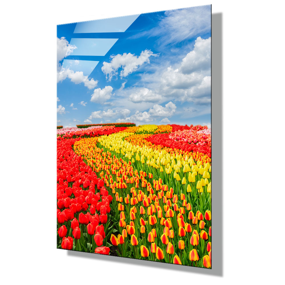 WITH FOTO アクリルフォト A2 青空とチューリップ畑/Blue sky and tulip fields