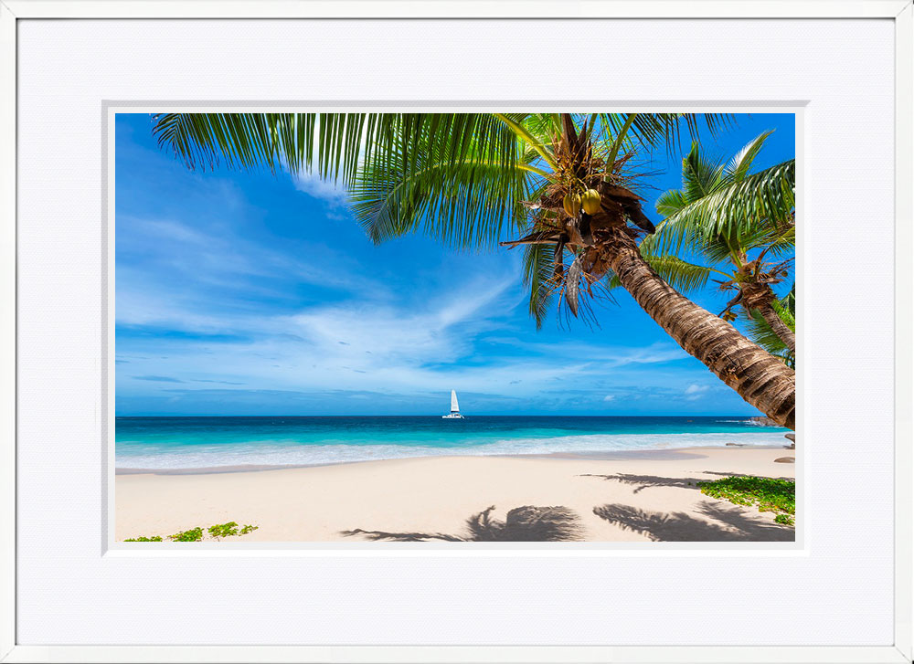 WITH FOTO インテリアフォト額装 A2 ヤシの木と砂浜/Sandy Beach with Palm Trees 