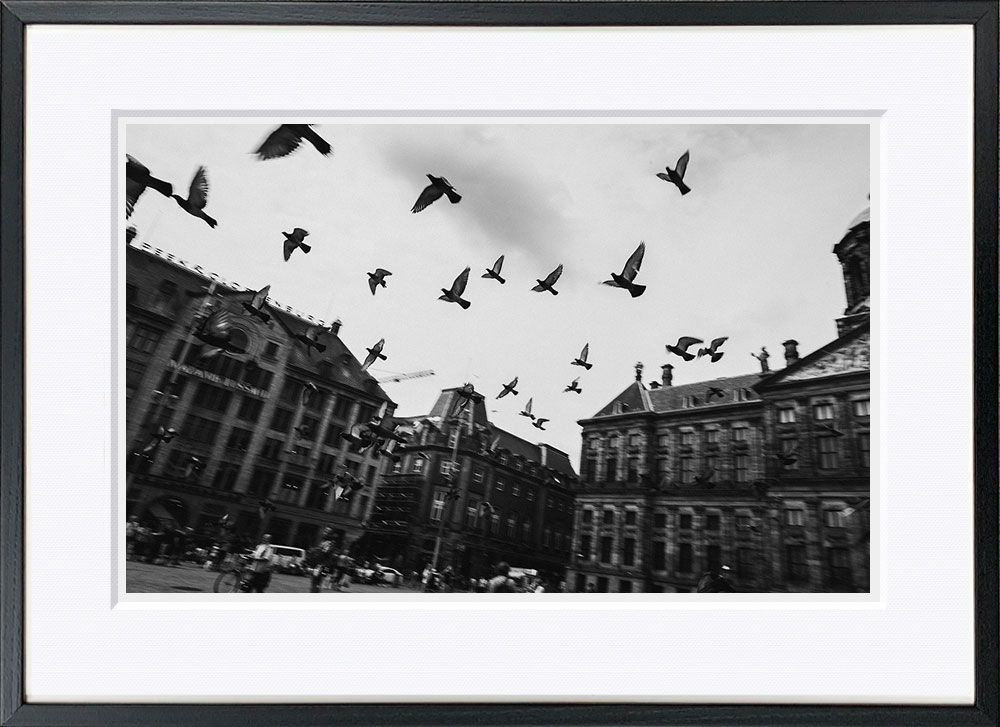 WITH FOTO インテリアフォト額装 A2 広場から飛び立つ鳩/Pigeons Flying on Square  