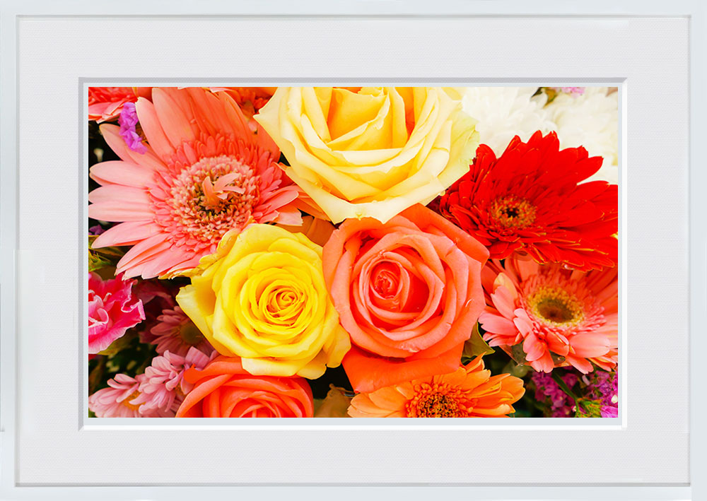 WITH FOTO インテリアフォト額装 A2 美しい花/Beautiful flowers