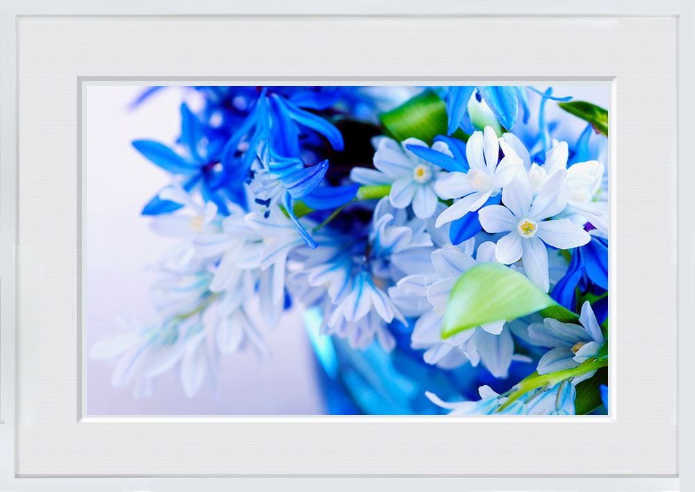 WITH FOTO インテリアフォト額装 A2 青いアイリスの花束/Bouquet of blue irises
