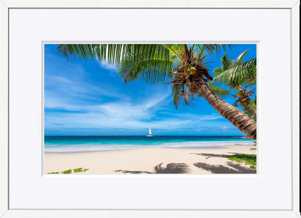 WITH FOTO インテリアフォト額装 A3 ヤシの木と砂浜/ Sandy Beach with Palm Trees 