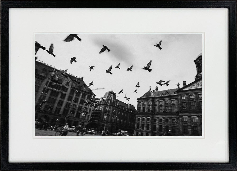 WITH FOTO インテリアフォト額装 A3 広場から飛び立つ鳩/ Pigeons Flying on Square  