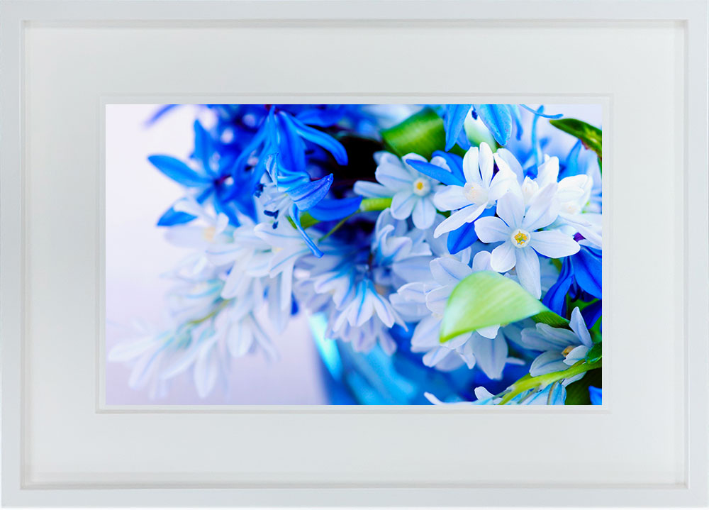 WITH FOTO インテリアフォト額装 A3 青いアイリスの花束/Bouquet of blue irises
