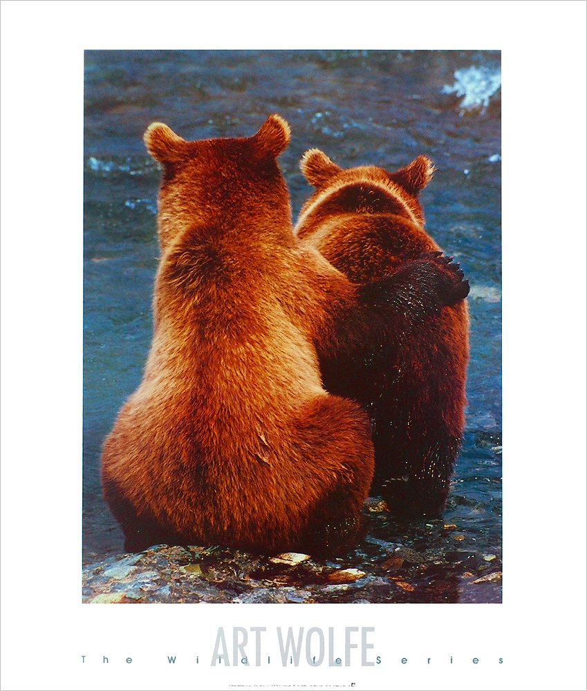 アート・ウルフ ポスター 二頭の熊の子供 A2743