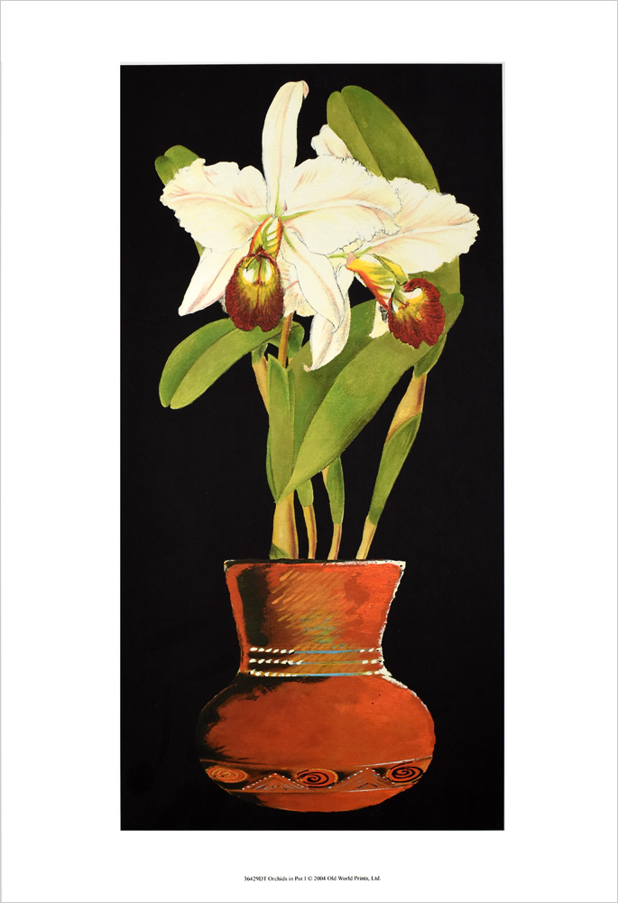 フラワーポスター Orchid in PotⅠ 2429DT