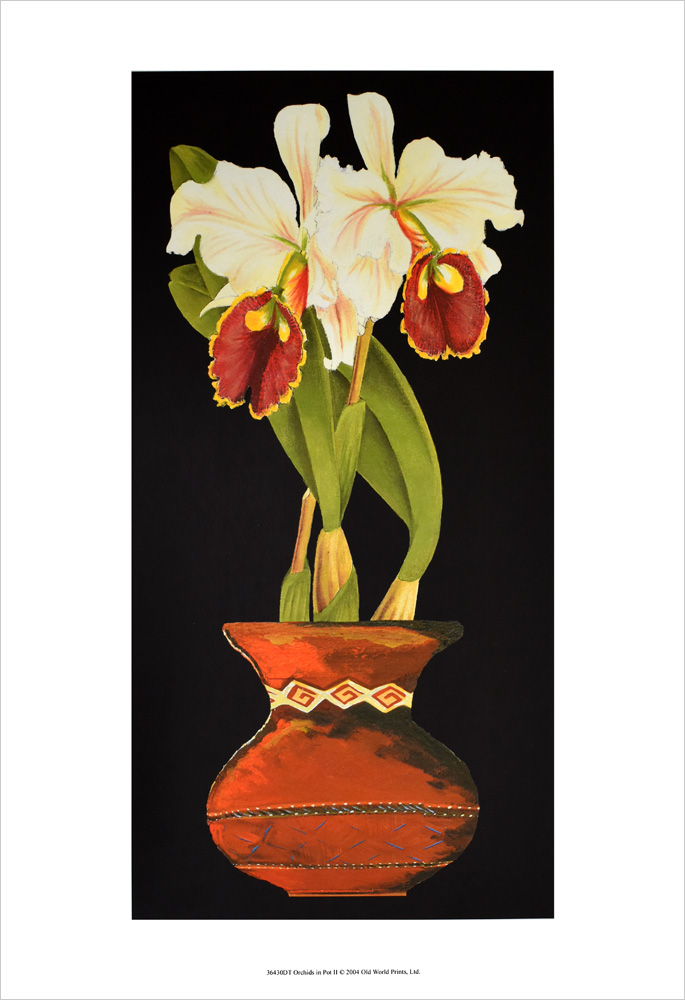 フラワーポスター Orchid in PotⅡ 2430DT