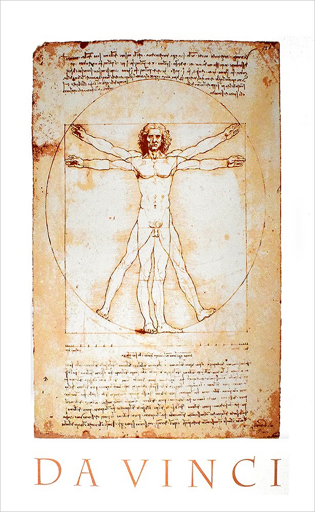 レオナルド・ダ・ヴィンチ ポスター ウィトルウィウス的人体図(1492) D370