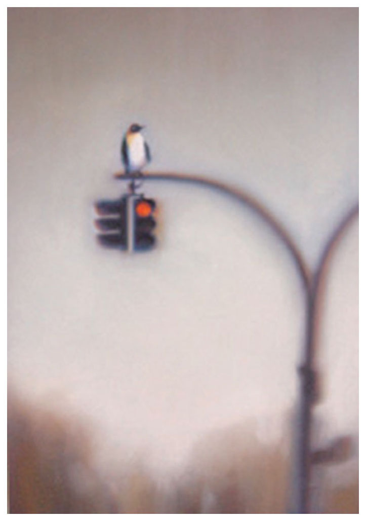 牧野千穂 版画（ジクレー） ２月のペンギン 3580