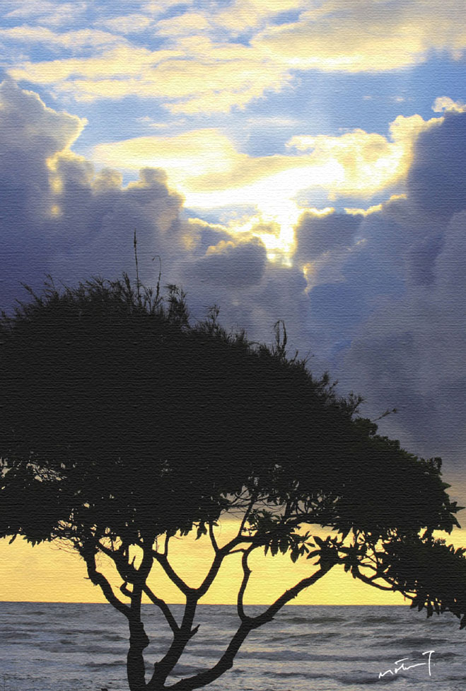 高山求 版画（キャンバスジクレー） Morning Breeze in Kauai 5329