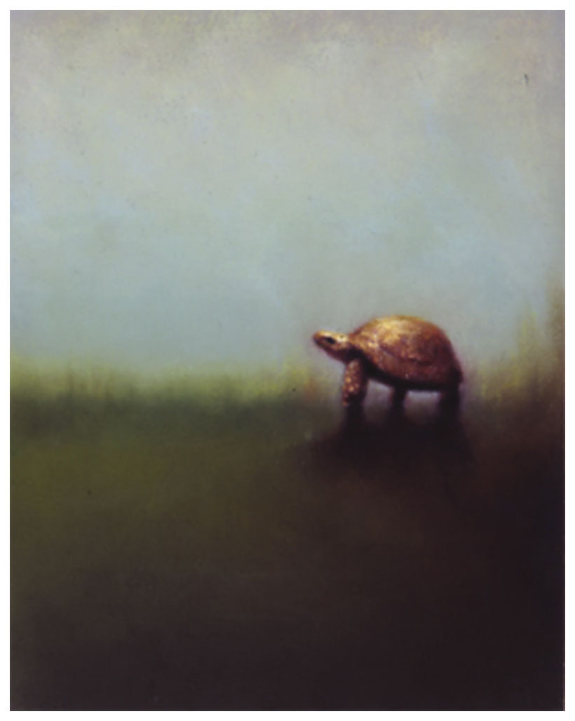 牧野千穂 版画（ジクレー） リクガメの憂鬱 5405