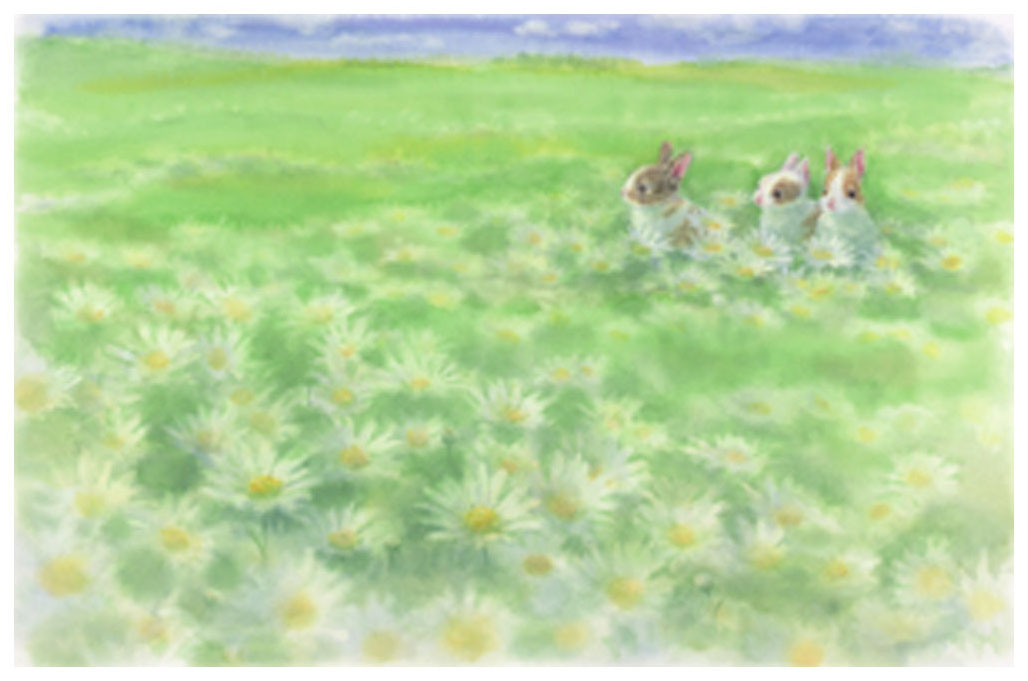 土田穣 版画（ジクレー） いっぱいのマーガレット 6308
