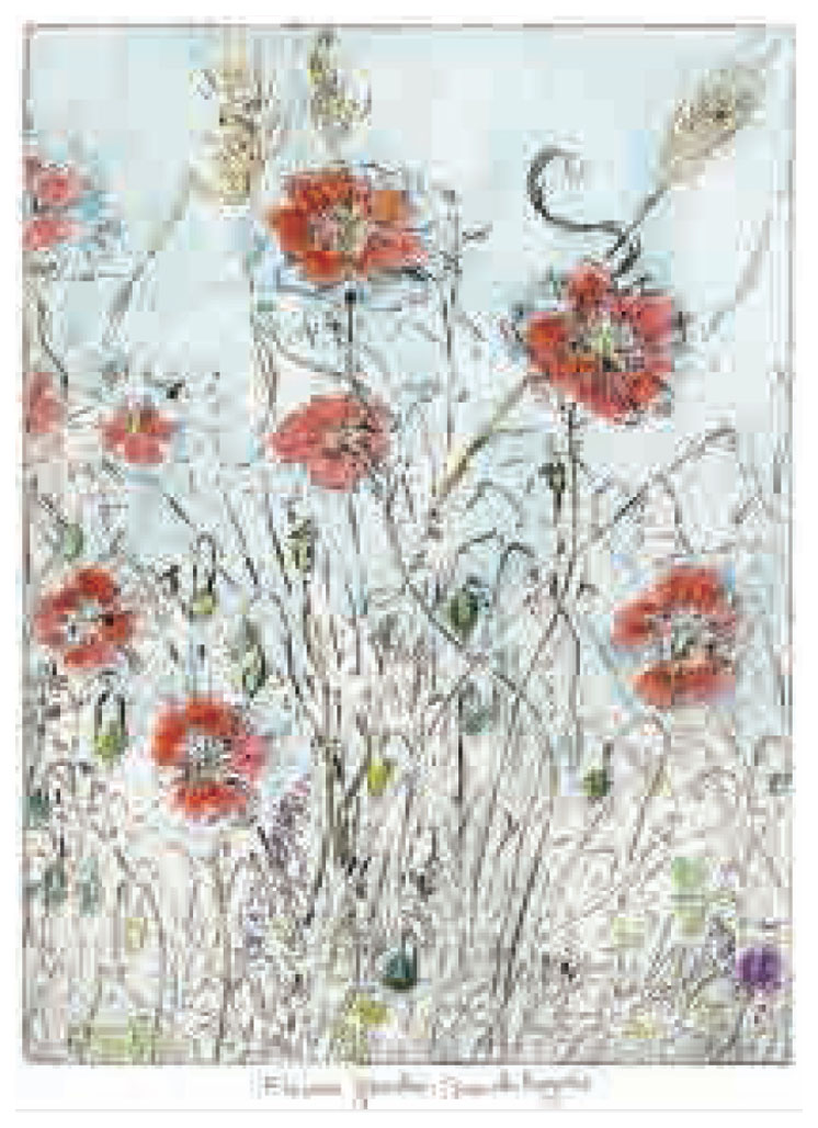 ジョアン・アイザック 版画（ジクレー） Flower Garden,French Poppies 