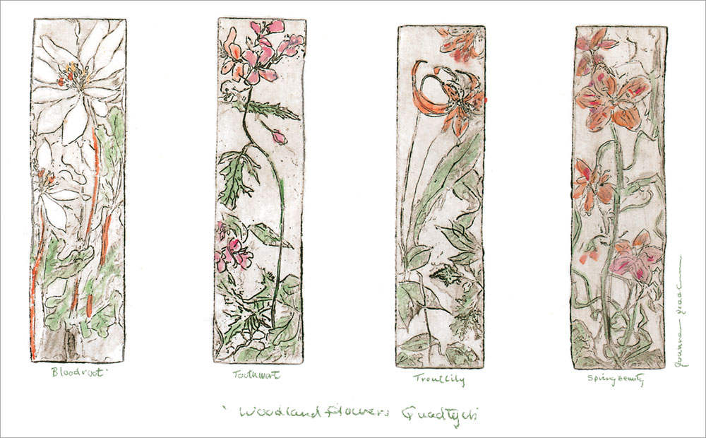ジョアン・アイザック 版画（ジクレー） 森の花々 9344