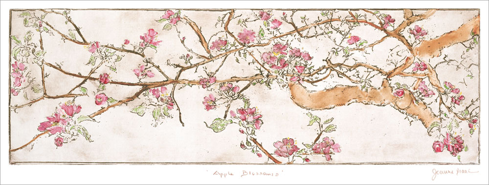 ジョアン・アイザック 版画（ジクレー） Apple Blossoms 9345